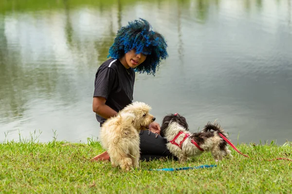 Siyahi, boyalı, mavi saçlı bir kadın köpekleriyle birlikte gölün kenarında çimlerde oturuyor..