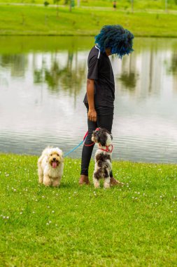 Saçları maviye boyanmış genç siyah bir kadın parkta bir göletin yanında köpeklerini gezdiriyor..