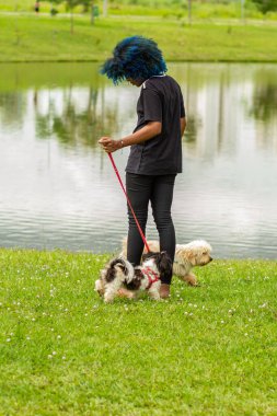 Saçları maviye boyanmış genç siyah bir kadın parkta bir göletin yanında köpeklerini gezdiriyor..