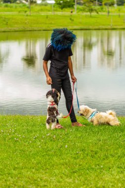 Saçları maviye boyanmış genç siyah bir kadın parkta bir göletin yanında köpeklerini gezdiriyor..