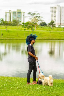 Saçları maviye boyanmış genç siyah bir kadın parkta bir göletin yanında köpeklerini gezdiriyor..