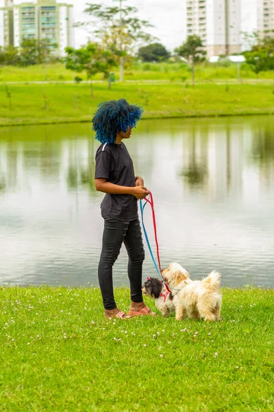 stock image A young black woman, with afro hair dyed blue, walking her dogs on the lawn beside a pond in the park.