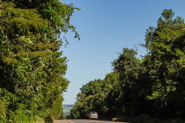Красивый Выложенный Деревьями Участок Автомагистрали 156 Штате Гояс Бразилия — стоковое фото
