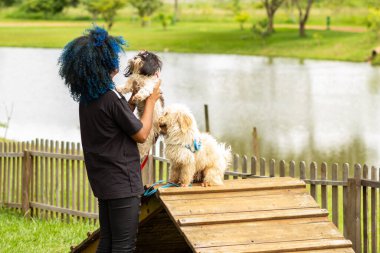 Mavi saçlı genç bir kadın, bir sürü ağaç ve gölü olan bir parktaki ahşap bir binada köpekleriyle oynuyor..