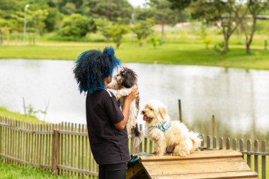 Mavi saçlı genç bir kadın, bir sürü ağaç ve gölü olan bir parktaki ahşap bir binada köpekleriyle oynuyor..