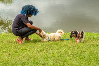 Siyahi bir kadın, boyalı mavi saçlı, çimlere çömelmiş, köpeğiyle arka planda bir gölle birlikte ağaçlık bir parkta oynuyor..