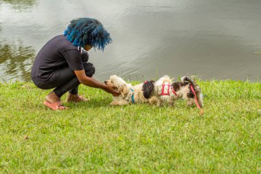 Siyahi bir kadın, boyalı mavi saçlı, çimlere çömelmiş, köpeğiyle arka planda bir gölle birlikte ağaçlık bir parkta oynuyor..