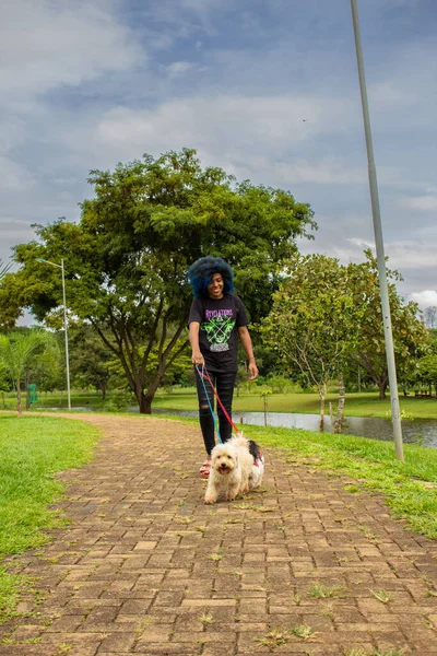  Bulutlu bir günde ağaçlık bir parkta köpeklerini gezdiren genç bir kadın..