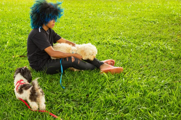 A young black woman, with afro hair dyed blue, sitting on the grass in a park, with her dogs.