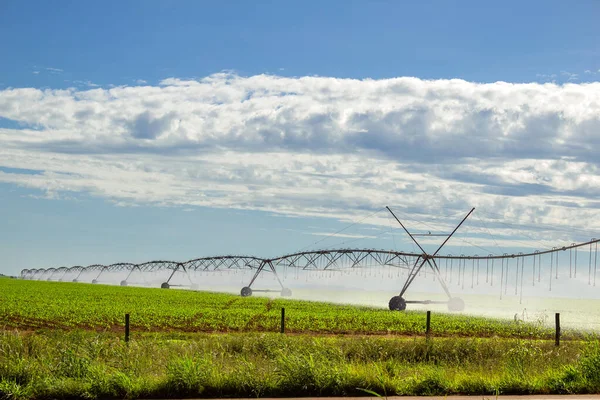 浇灌机浇灌着生长中的庄稼 在晴朗的天气里 天空中点缀着一些云彩 — 图库照片