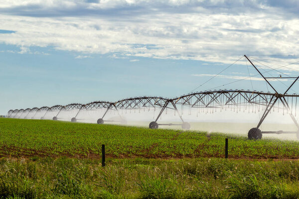 Irrigation machine watering the growing crop, on a clear day with some clouds in the sky.