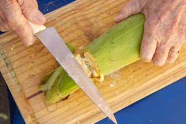 Yeşil kabuklu mısır koçanı kesen bir kadının elleri..