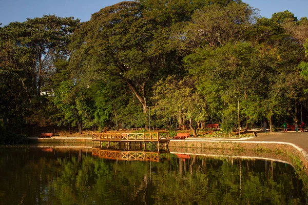 Paisaje Bosque Dos Buritis Con Muelle Fondo Lago Que Refleja — Foto de Stock