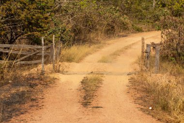 Açık bir kapısı olan toprak bir yol ve Brezilya 'nın orta batısındaki tipik bitki örtüsü..