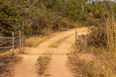 Açık bir kapısı olan toprak bir yol ve Brezilya 'nın orta batısındaki tipik bitki örtüsü..