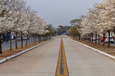 Goiania 'daki Avenida Goias Norte' nin soğuk, güneşsiz bir sabahta açtığı beyaz ipliklerle.