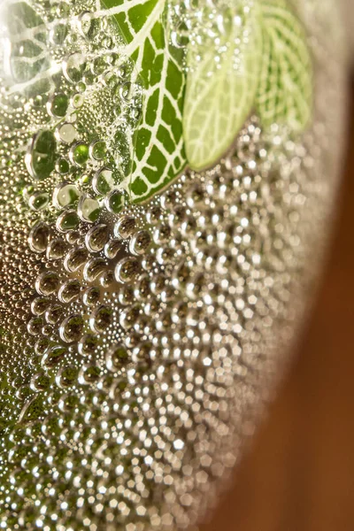 Detalhe Gotas Água Dentro Vidro Terrário Mostrando Pedaço Folhas Uma — Fotografia de Stock