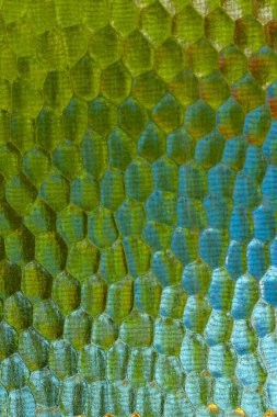  Pencere camının dokusunun ayrıntıları.