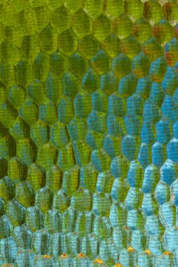  Pencere camının dokusunun ayrıntıları.