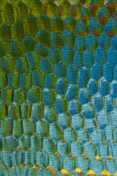 Detalhe Textura Vidro Janela — Fotografia de Stock