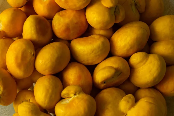 Détail Tas Péquis Dans Bol Pequi Est Fruit Typique Cerrado — Photo