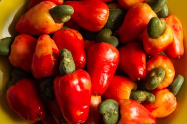 Bir avuç olgun kaju fıstığına yaklaş..