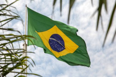 Rüzgarda dalgalanan bir Brezilya bayrağı Gökyüzünde birçok bulut ve ön planda yaprakların ayrıntıları.