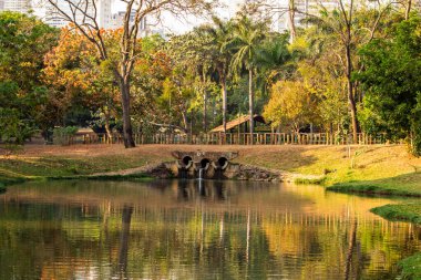 Goiania 'daki Lago das Rosas' ın altın sabah ışıklarıyla ayrıntıları..