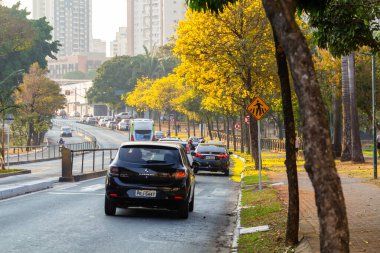 Goiania 'daki Avenida Anhanguera' nın çok güzel bir bölgesi, sarı ipe ağaçlarıyla dolu..