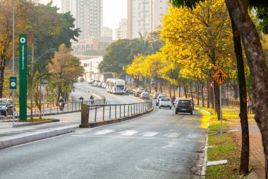 Avenida Anhanguera 'nın kıvrımlarında sarı sarmaşık ağaçlarıyla dolu.