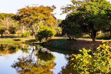 Şehirdeki çok ormanlık bir parkın manzarası, gölü ve manzarası suya yansıyor..