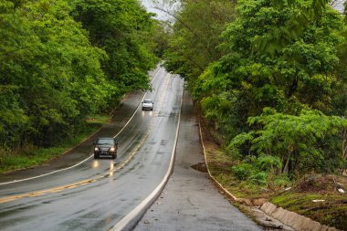 Anicuns 'taki GO-326 otoyolunun bir bölümünün ayrıntıları asfalt yolda ve yağmurlu suyla ıslanmış, yapraklı ağaçlardan oluşan bir tünel ve yoldan geçen bazı arabalar..