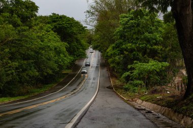 Anicuns 'taki GO-326 otoyolunun bir bölümünün ayrıntıları asfalt yolda ve yağmurlu suyla ıslanmış, yapraklı ağaçlardan oluşan bir tünel ve yoldan geçen bazı arabalar..