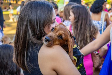 Sahibinin kucağında bir köpek. Fotoğraf, köpek sahipleri için düzenlenen bir etkinlikte çekildi..