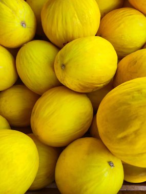 Fuarda satılık olgun kavunlar sergileniyor..