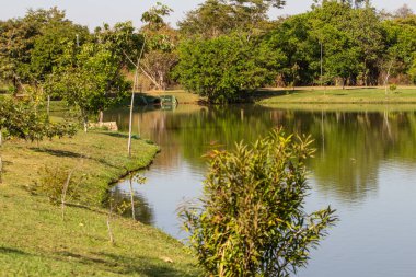 Orta Brezilya 'daki Goiania şehrindeki Leoldio Di Ramos Caiado Parkı' nın detayları.