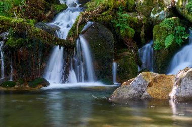 Santo Estevo Şelalesi. Santo Estevo de Rivas de Sil, Luintra, Ourense, İspanya