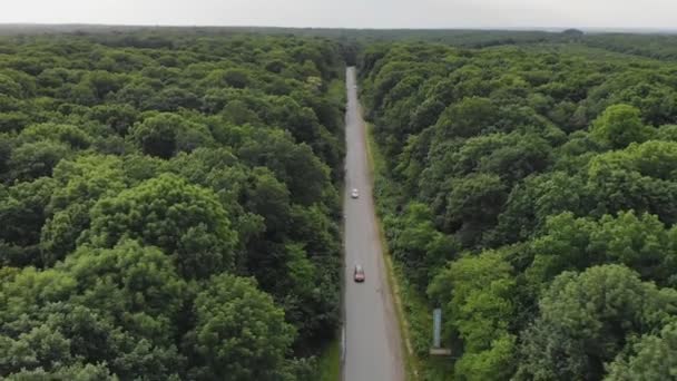 Vue Une Hauteur Dessus Route Banlieue Entre Les Champs Vol — Video