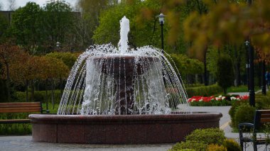 Bahçede küçük bir çeşme. Önünde bulanık bir ağaç ve yapraklar var. Parkta çeşmesi olan sakin bir bahar manzarası.