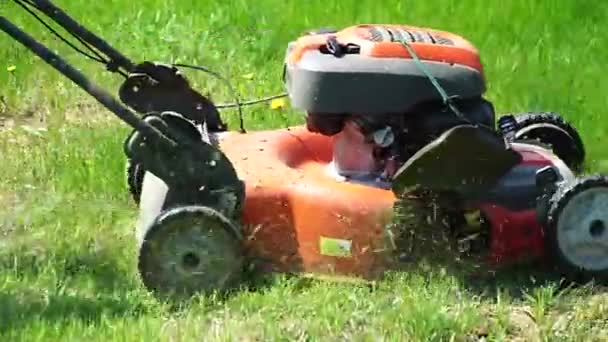 Arka Bahçede Çim Biçme Makinesiyle Çim Biçen Bir Adamın Yakın — Stok video