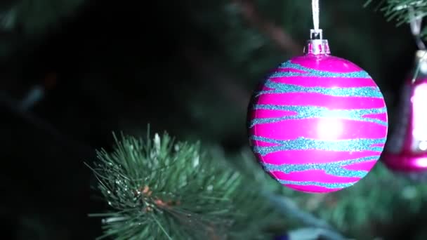 Bola Decorativa Natal Ramo Árvore Natal Antecedentes Ano Novo Desfocados — Vídeo de Stock