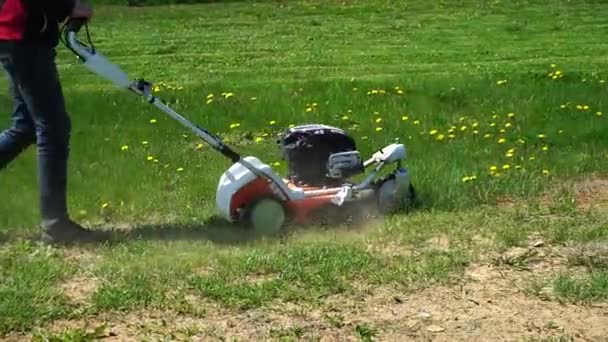 芝生の芝刈り機で裏庭に草を刈る男のクローズアップ タンポポを刈る 雑草清掃 — ストック動画