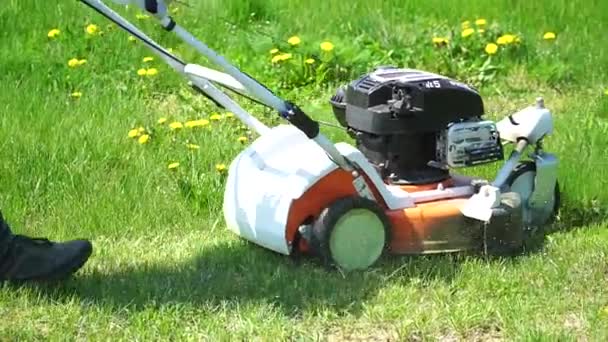 一个男人在后院用割草机割草的特写镜头 修剪蒲公英 草场清洁 — 图库视频影像