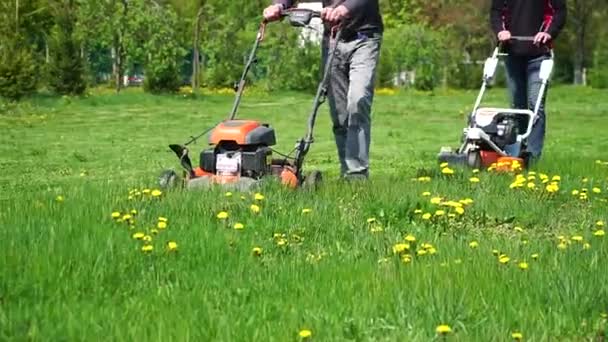 一个男人在后院用割草机割草的特写镜头 修剪蒲公英 草场清洁 — 图库视频影像