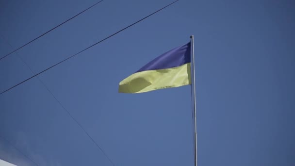 ウクライナの国旗 青い晴れた空に旗竿にウクライナの国旗 風の中で空にウクライナの青と黄色の国旗がなびく — ストック動画