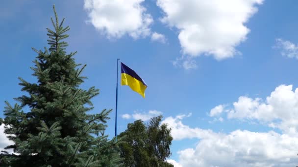 ウクライナの国旗 青い晴れた空に旗竿にウクライナの国旗 風の中で空にウクライナの青と黄色の国旗がなびく — ストック動画
