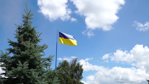Украинский Флаг Украинский Национальный Флаг Флагштоке Голубом Солнечном Небе Украинский — стоковое видео