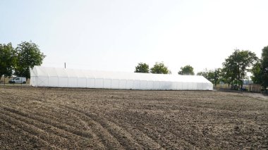 Bitki fideleri yetiştirmek için sera. n