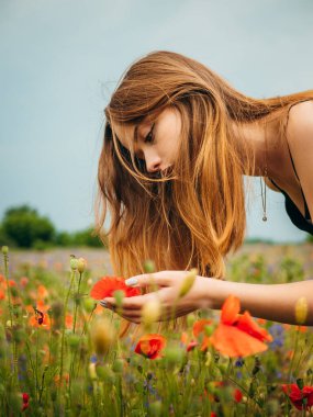 Siyah bir gece elbisesi giymiş güzel bir kız bulutlu bir yaz gününde gelincik tarlasında çiçek kokusunu koklamak için eğildi. Açık havada bir kadın modelin portresi. Yağmurlu bir hava. Dikey çekim.