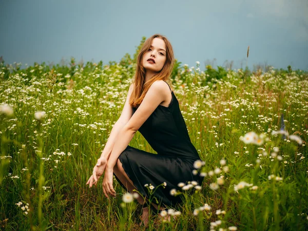 Beautiful Young Girl Black Evening Dress Poses Crouching Front Daisy — Stock Photo, Image
